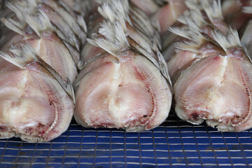 Dried fish are stacked on a grid. Dried fish are stacked on top of each other for sale at the market.