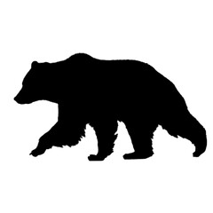 Fototapeta premium Bear Illustration | Bear Drawing | Bear Icon