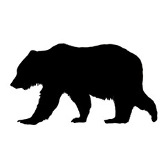 Bear Illustration | Bear Drawing | Bear Icon