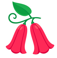 Copihue flower (Chilean Bellflower) illustration