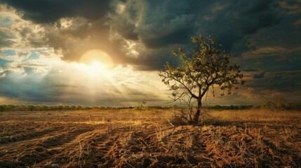 Obraz premium Collection spring, summer, autumn, fall, winter, monsoon, dry season, dry season, rainy season.