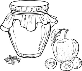 Glass jar with jam or jelly and fruits. Apple, cherries, star anise. Homemade natural berry dessert. Vector illustration in hand drawn sketch doodle style. Line art isolated on white for coloring book
