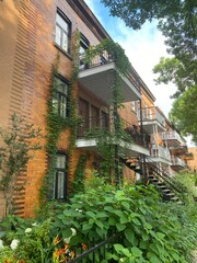 Green Apartment facade in Montreal 