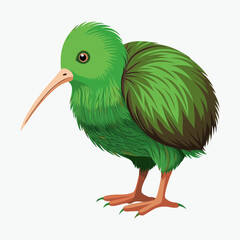 Kiwi bird vector illustration