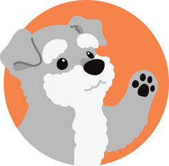 Simple and cute circle icon illustration of Miniature Schnauzer waving