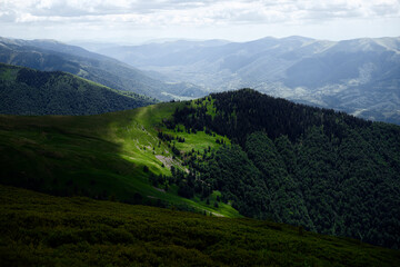 Obraz premium Beautiful mountains landscape with green hills. Carpathians, Ukraine.