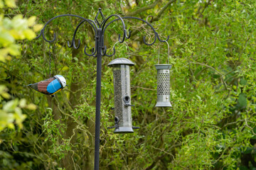 Feeding station for birds in the garden