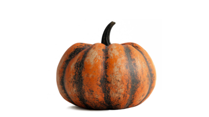 A pumpkin with a black and orange stripe is sitting on a white background. The pumpkin is the main focus of the image, and it is a decorative piece