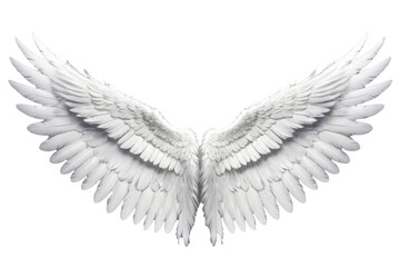 Angel wings, centered full body, isolated, white background, high-definition stock photo, feathers detailed and subtle variations in texture, light source creating soft shadows