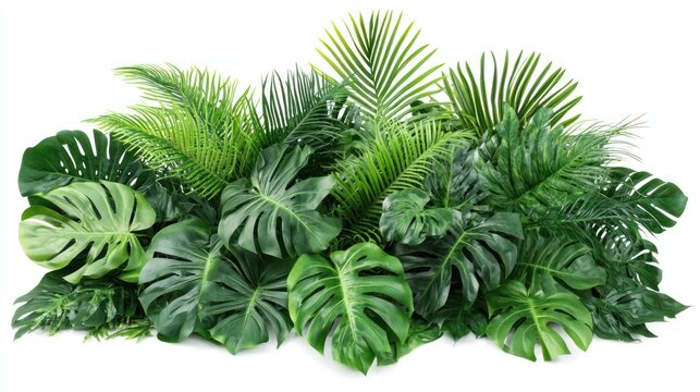 Tropical Leaf Arrangement