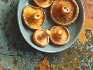 Saffron milk cap mushrooms on gray ceramic plate on rust iron background. Edible red pine mushroom pattern. Rich protein source food. Forest autumn harvesting. Earth tone colors. Natural texture.