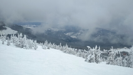 Ski resort in the mountains. Flat snow, fir trees. Foggy day.  Mountain view, horizon over land. Gloomy weather. Forest frozen landscape. Cold nature.Carpathian mountains, Drahobrat, Ukraine