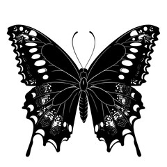 Beautiful Butterfly Vector silhouette Exquisite Butterfly Art