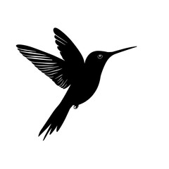 Humming bird silhouette vector silhouette