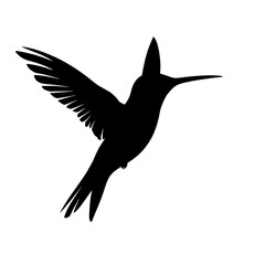 Humming bird silhouette vector silhouette