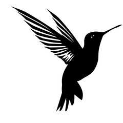 Humming bird silhouette vector silhouette