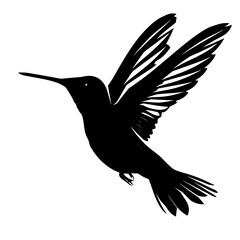 Humming bird silhouette vector silhouette