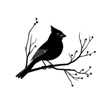 recommend clip art: cardinal silhouette vector illustration