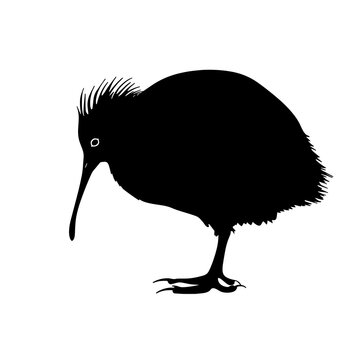 recommend clip art: kiwi bird silhouette vector silhouette