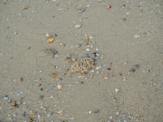 Sand on beach for background, containing small stones, broken corals, small crabs and their holes, shells