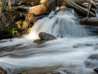 Cute little waterfall under a canopy of forest