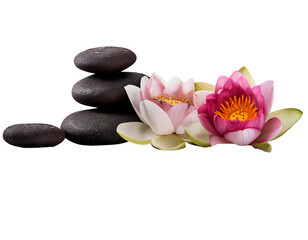 Calm spa stones go well with lotus blossoms; remove 