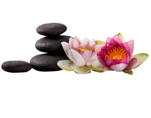 Calm spa stones go well with lotus blossoms; remove  