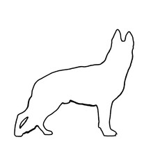 Dog Outline | Dog Drawing | Dog Illustration