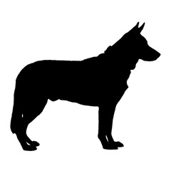 Dog Illustration | Dog Drawing | Dog Icon