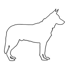 Dog Drawing | Dog Outline | Hand Drawn Dog