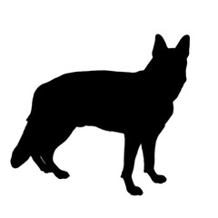 Dog Illustration | Dog Drawing | Dog Icon