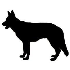 Dog Illustration | Dog Drawing | Dog Icon