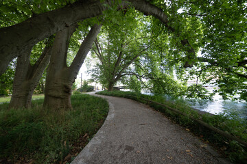 Fototapeta premium Platzspitz park promenade pathway along the Limmat River in Zurich city center Switzerland