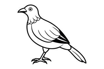 Fototapeta premium Bird Silhouette Vector Art Illustration