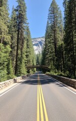 Fototapeta premium Scenic Drive through National Park Featuring Old Stone Bridges and Towering Trees