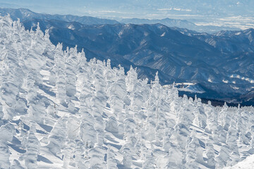 Japanese people are traveling to see snow monsters on Mt. Zao.