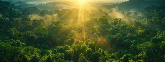 A vibrant scene of lush green rainforest with towering trees and diverse wildlife.