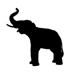 Elephant Illustration | Elephant Silhouette | Elephant Icon