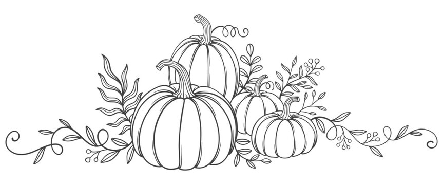 Pumpkin line art style vector illustration
