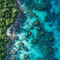 Obraz premium Aerial Coral Reef Scene with Transparent Turquoise Water