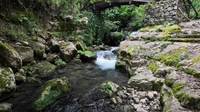 Marvelous scenery at the Grotte del Bussento WWF Oasis, near Morigerati. Cilento, Campania, Italy.