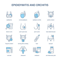 Epididymitis and Orchitis symptoms, diagnostic and treatment vector icons. Medical icons.