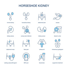 Horseshoe Kidney symptoms, diagnostic and treatment vector icons. Medical icons.