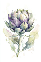 Watercolor illustration of an artichoke plant growing, with green leaves and purple flower bud