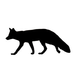 Fox Clipart | Hand Drawn Fox | Fox Illustration
