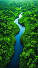 Breathtaking Aerial View of Serene Lush Green Forests and Curving River, Pristine Wilderness, Nature Landscape, Scenic Beauty, Aerial Photography, Natural Habitat, Environmental Conservation