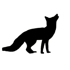 Fox Illustration | Fox Drawing | Fox Icon