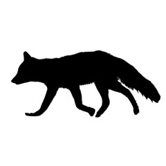 Fox Illustration | Fox Silhouette | Fox Icon