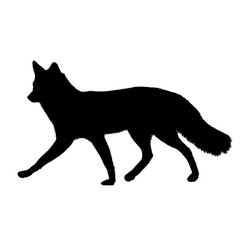 Fox Drawing | Fox Silhouette | Fox Illustration