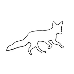 Fox Outline | Fox Illustration | Fox Drawing